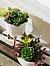Photo of Sunshine Succulents -white -bowl -with -wooden -base -13cm - 