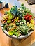 Photo of Sunshine Succulents- charcoal- wok- style -succulent- bowl- comes -with -wrought -iron. -Stand - 