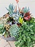 Photo of Sunshine Succulents-charcoal -wok- style -succulent -bowl- 30cm -comes -with -wrought -iron -stand- 