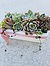 more on Sunshine Succulents- cement white wash rectangle planter 25cm -