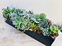 more on Sunshine Succulents-charcoal- 50cm table runner -