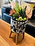 Photo of Sunshine Succulents funky penguin pot with succulents - 