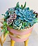 more on Sunshine Succulents-rose pink succulent bowl with wooden base -