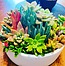Photo of Sunshine Succulents - white wok succulent bowl 23 cm - 