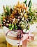Photo of Sunshine Succulents-white mini bowl with wooden stand 30cm- 