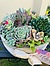 more on Sunshine Succulents-urban cement bowl 25cm-