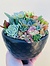 Photo of Sunshine Succulents - charcoal succulent bowl  bowl -13cm-diameter - 
