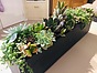 Photo of Sunshine Succulents - charcoal succulent table runner 50cm - 
