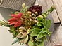 Photo of Sunshine Succulents light grey bowl with wooden base 13cm 