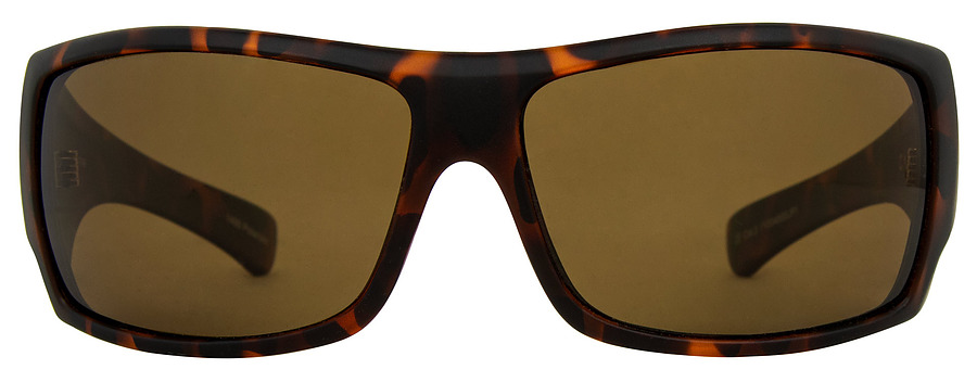 Carve Eyewear Wolfpak Matt Tort Polarised Sunglasses - Image 3