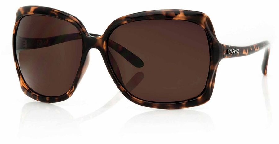 Carve Eyewear Grace Gloss Brown Tort Sunglasses - Image 1
