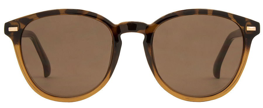 Carve Eyewear Oslo Gloss Tort Toffee Brown Sunglasses - Image 2