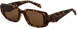 more on Carve Eyewear Milan Gloss Tort Brown Sunglasses