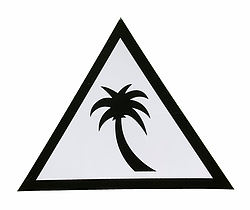 more on Catch Surf Palm Triangle Sticker