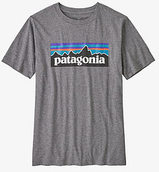 more on Patagonia Kids Regenerative Organic Cotton P-6 Logo Heather Grey Size 14