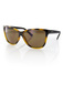 more on Carve Eyewear Sophia Tort Matte Black Sunglasses